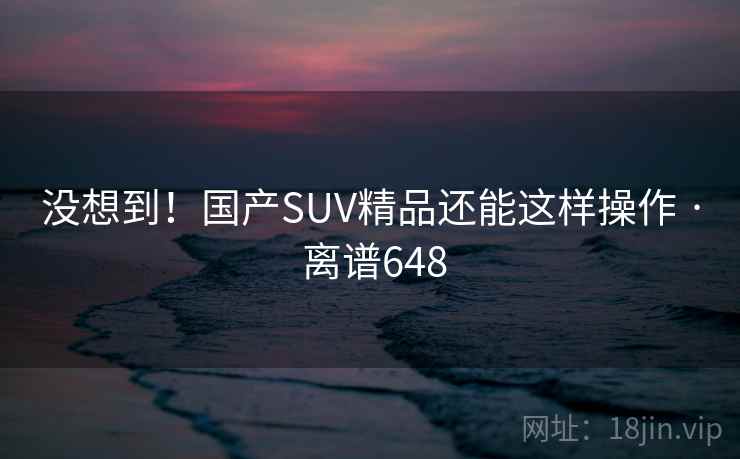 没想到!国产SUV精品还能这样操作 · 离谱648 没想到!国产SUV精品还能这样操作 · 离谱648