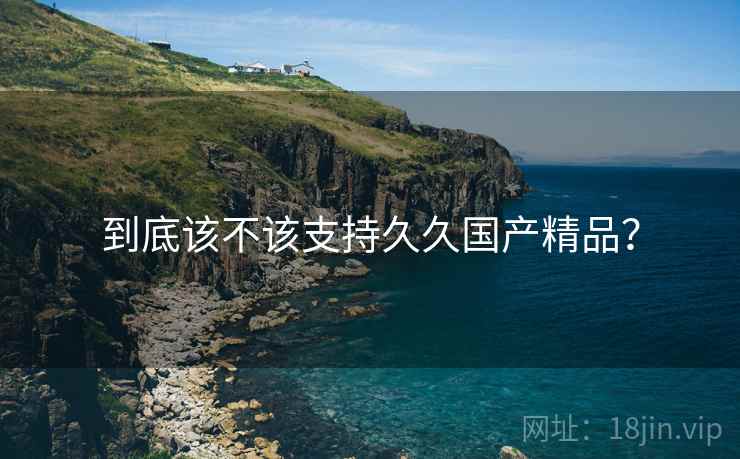 到底该不该支持久久国产精品？